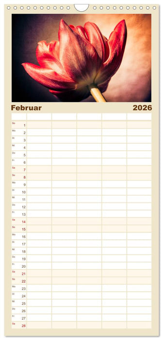 Blüten im Retro-Style (CALVENDO Familienplaner 2026)