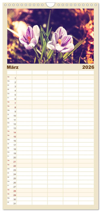 Blüten im Retro-Style (CALVENDO Familienplaner 2026)