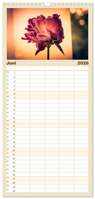 Blüten im Retro-Style (CALVENDO Familienplaner 2026)