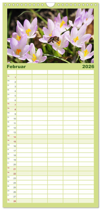 Sanfte Natur (CALVENDO Familienplaner 2026)