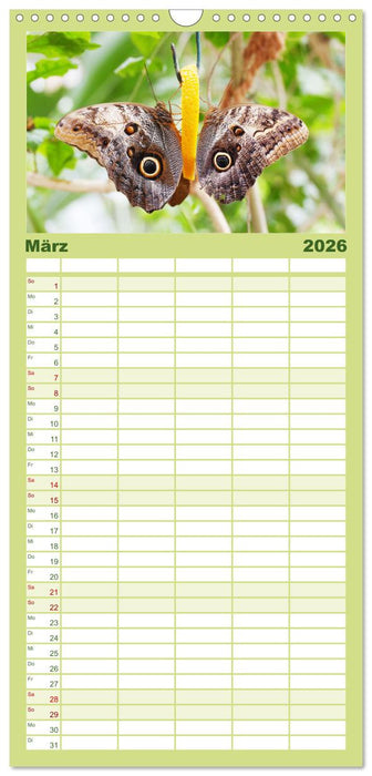 Sanfte Natur (CALVENDO Familienplaner 2026)