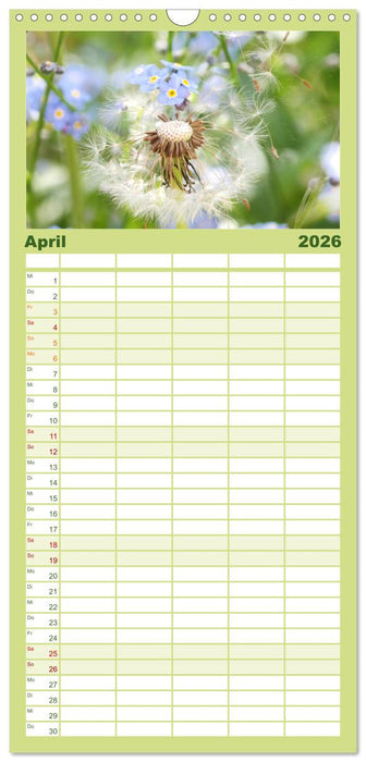 Sanfte Natur (CALVENDO Familienplaner 2026)