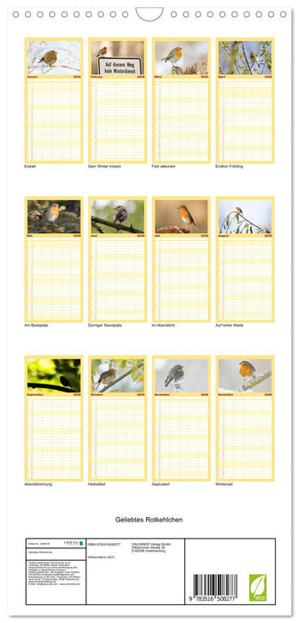 Geliebtes Rotkehlchen (CALVENDO Familienplaner 2026)