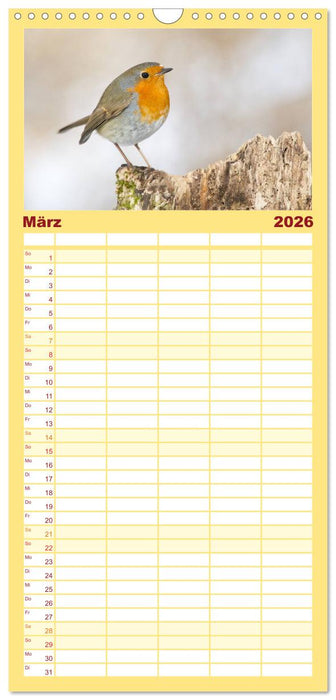 Geliebtes Rotkehlchen (CALVENDO Familienplaner 2026)