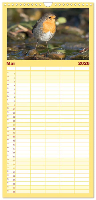 Geliebtes Rotkehlchen (CALVENDO Familienplaner 2026)