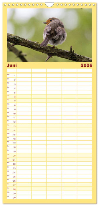 Geliebtes Rotkehlchen (CALVENDO Familienplaner 2026)