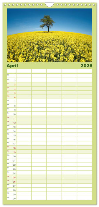 Farbenfrohe Heimat (CALVENDO Familienplaner 2026)