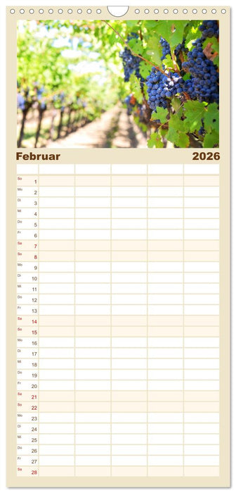 Trauben-Genuss. Aromatische Weintrauben und süße Tafeltrauben (CALVENDO Familienplaner 2026)