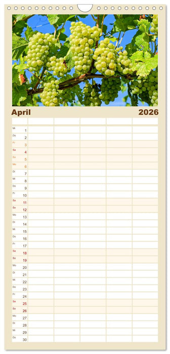 Trauben-Genuss. Aromatische Weintrauben und süße Tafeltrauben (CALVENDO Familienplaner 2026)