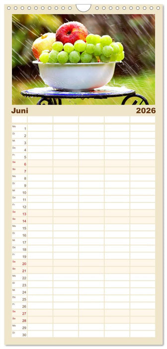 Trauben-Genuss. Aromatische Weintrauben und süße Tafeltrauben (CALVENDO Familienplaner 2026)