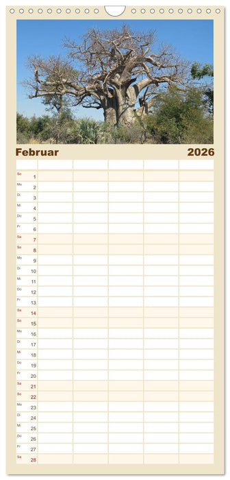 Natur und Landschaft. Südliches Afrika 2026 (CALVENDO Familienplaner 2026)