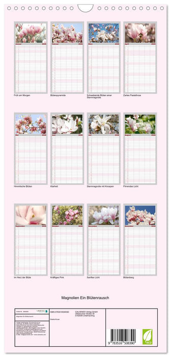 Magnolien Ein Blütenrausch (CALVENDO Familienplaner 2026)