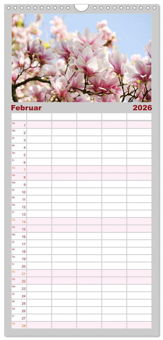 Magnolien Ein Blütenrausch (CALVENDO Familienplaner 2026)