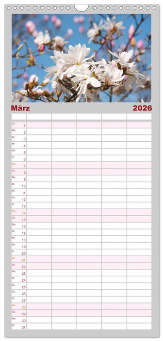 Magnolien Ein Blütenrausch (CALVENDO Familienplaner 2026)