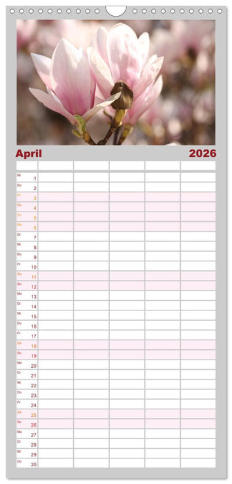 Magnolien Ein Blütenrausch (CALVENDO Familienplaner 2026)