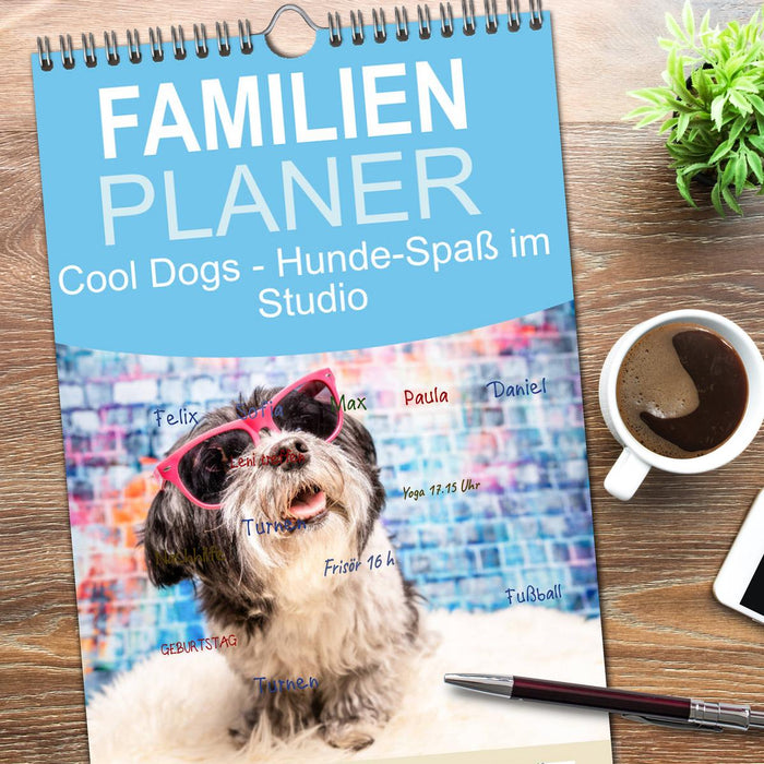 Cool Dogs - Hunde-Spaß im Studio (CALVENDO Familienplaner 2026)