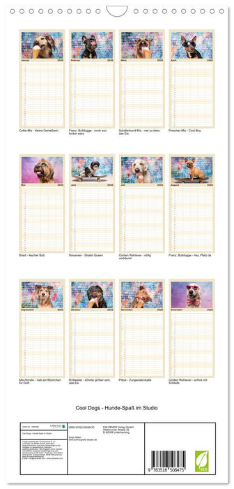Cool Dogs - Hunde-Spaß im Studio (CALVENDO Familienplaner 2026)