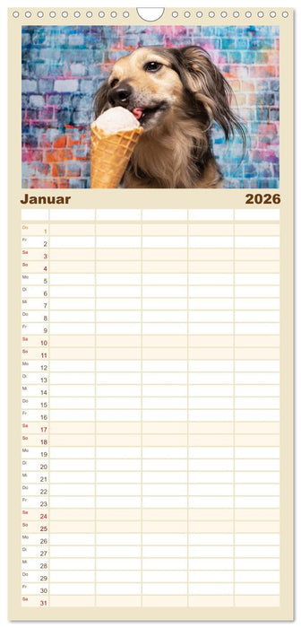 Cool Dogs - Hunde-Spaß im Studio (CALVENDO Familienplaner 2026)
