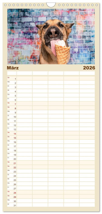 Cool Dogs - Hunde-Spaß im Studio (CALVENDO Familienplaner 2026)