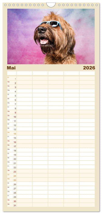 Cool Dogs - Hunde-Spaß im Studio (CALVENDO Familienplaner 2026)