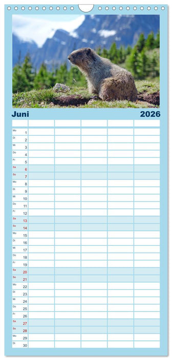 Kanadas Westen - Berge und Wasser (CALVENDO Familienplaner 2026)