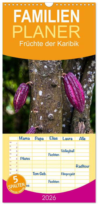 Früchte der Karibik (CALVENDO Familienplaner 2026)