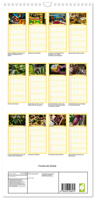 Früchte der Karibik (CALVENDO Familienplaner 2026)