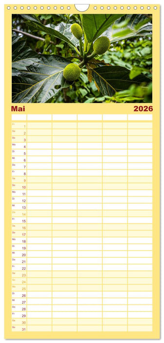 Früchte der Karibik (CALVENDO Familienplaner 2026)