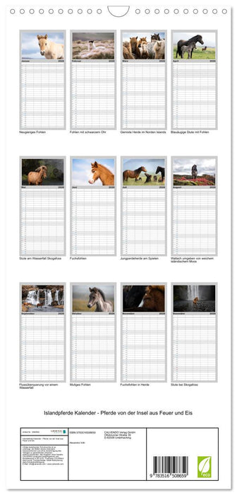 Islandpferde Kalender - Pferde von der Insel aus Feuer und Eis (CALVENDO Familienplaner 2026)