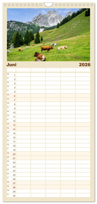 Das wunderbare Ramsau am Fuße des Dachsteins (CALVENDO Familienplaner 2026)