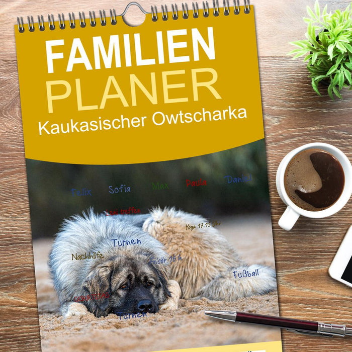 Kaukasischer Owtscharka (CALVENDO Familienplaner 2026)