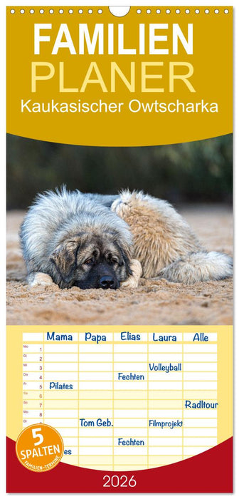 Kaukasischer Owtscharka (CALVENDO Familienplaner 2026)