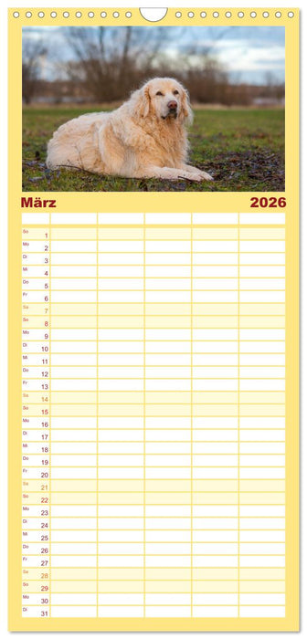 Kaukasischer Owtscharka (CALVENDO Familienplaner 2026)