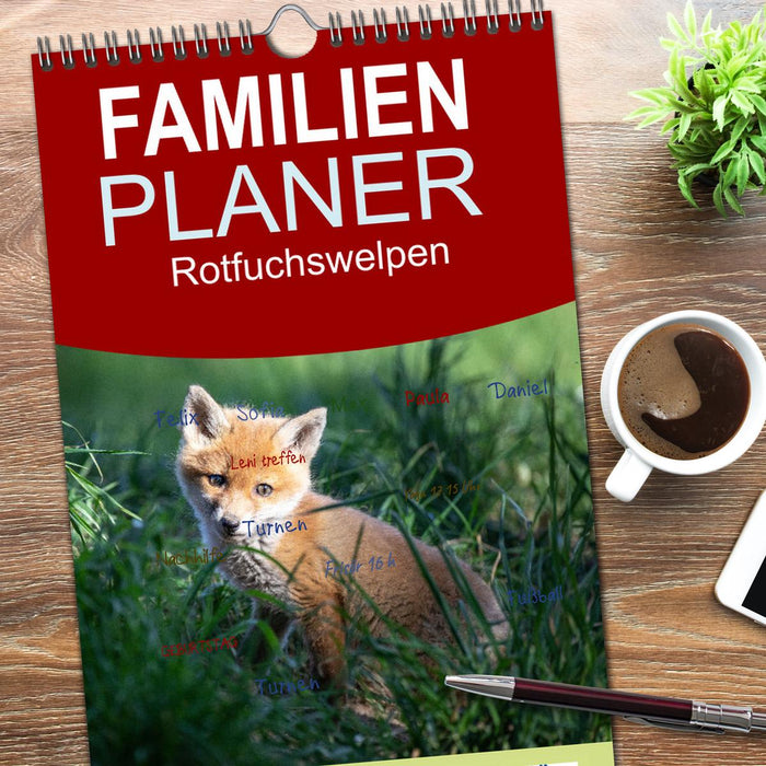 Rotfuchswelpen (CALVENDO Familienplaner 2026)
