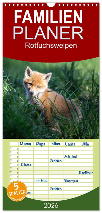 Rotfuchswelpen (CALVENDO Familienplaner 2026)