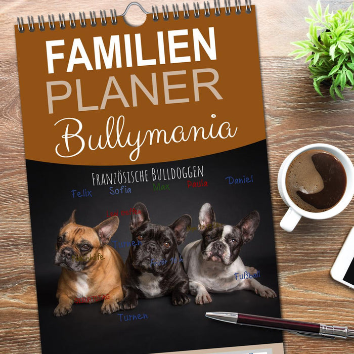 Bullymania - Französische Bulldoggen (CALVENDO Familienplaner 2026)