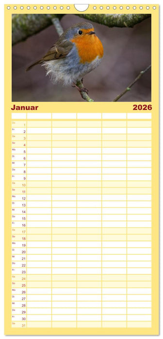 Rotkehlchen - Fotografiert von Ostfriesenfotografie (CALVENDO Familienplaner 2026)
