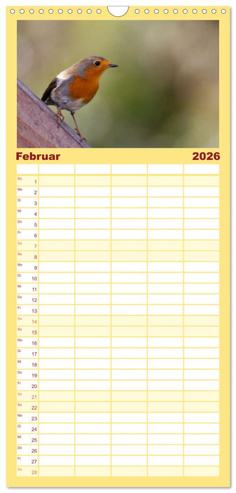 Rotkehlchen - Fotografiert von Ostfriesenfotografie (CALVENDO Familienplaner 2026)