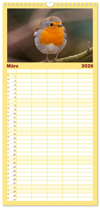 Rotkehlchen - Fotografiert von Ostfriesenfotografie (CALVENDO Familienplaner 2026)