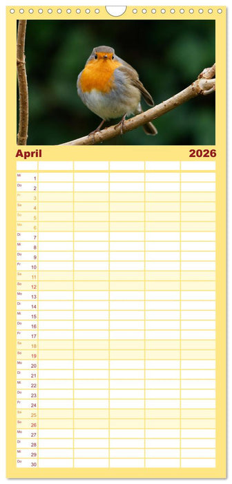 Rotkehlchen - Fotografiert von Ostfriesenfotografie (CALVENDO Familienplaner 2026)