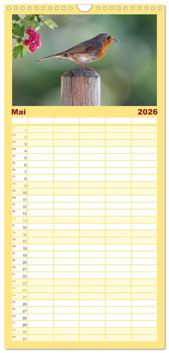 Rotkehlchen - Fotografiert von Ostfriesenfotografie (CALVENDO Familienplaner 2026)