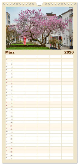 Kassel - Morgenlicht (CALVENDO Familienplaner 2026)