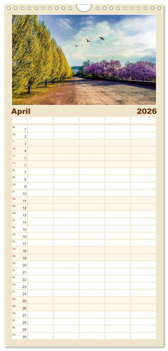 Kassel - Morgenlicht (CALVENDO Familienplaner 2026)