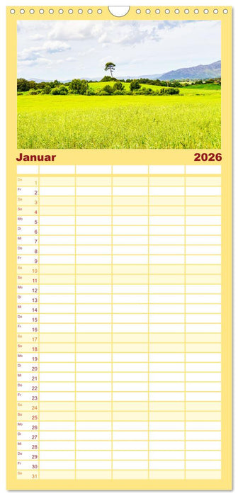 Mallorca Meine Liebe (CALVENDO Familienplaner 2026)