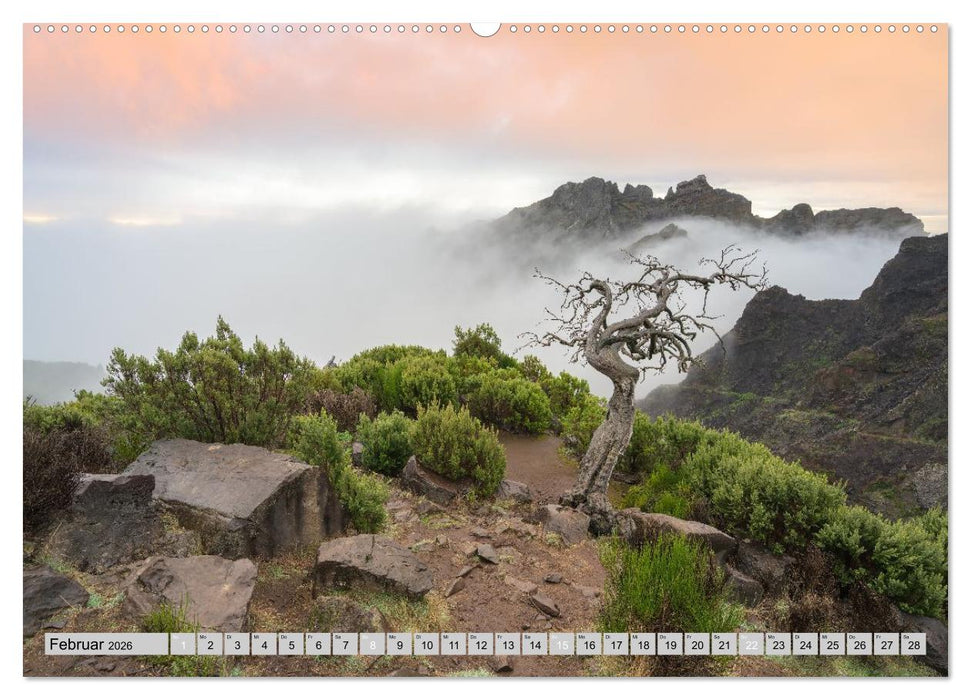 Wunderschönes Madeira (CALVENDO Premium Wandkalender 2026)