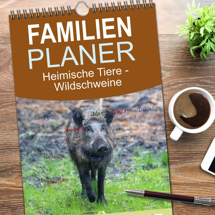 Heimische Tiere - Wildschweine (CALVENDO Familienplaner 2026)