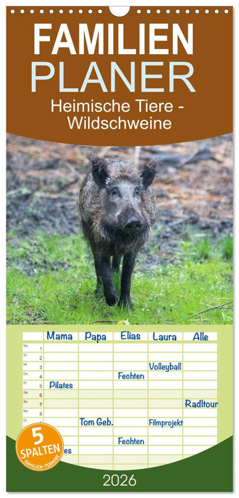 Heimische Tiere - Wildschweine (CALVENDO Familienplaner 2026)