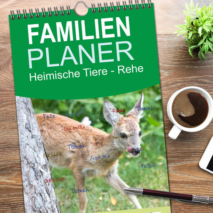 Heimische Tiere - Rehe (CALVENDO Familienplaner 2026)