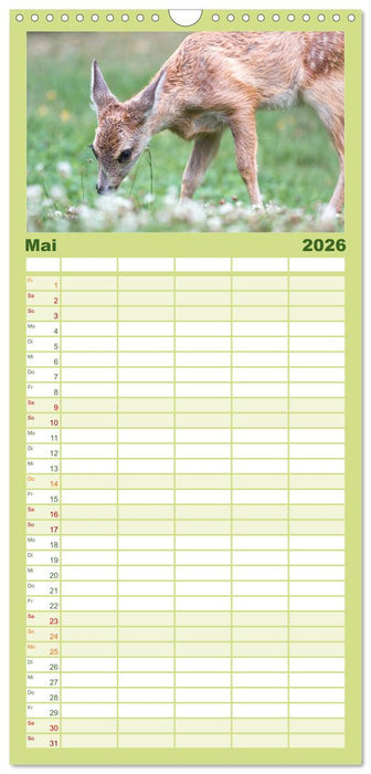 Heimische Tiere - Rehe (CALVENDO Familienplaner 2026)