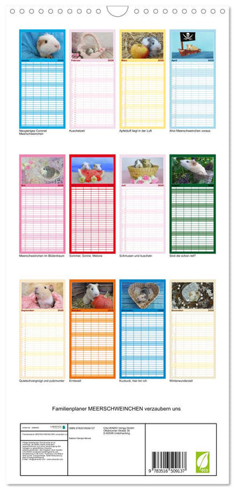 Familienplaner MEERSCHWEINCHEN verzaubern uns (CALVENDO Familienplaner 2026)